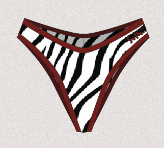 Cam Cheeky Brief Zebra